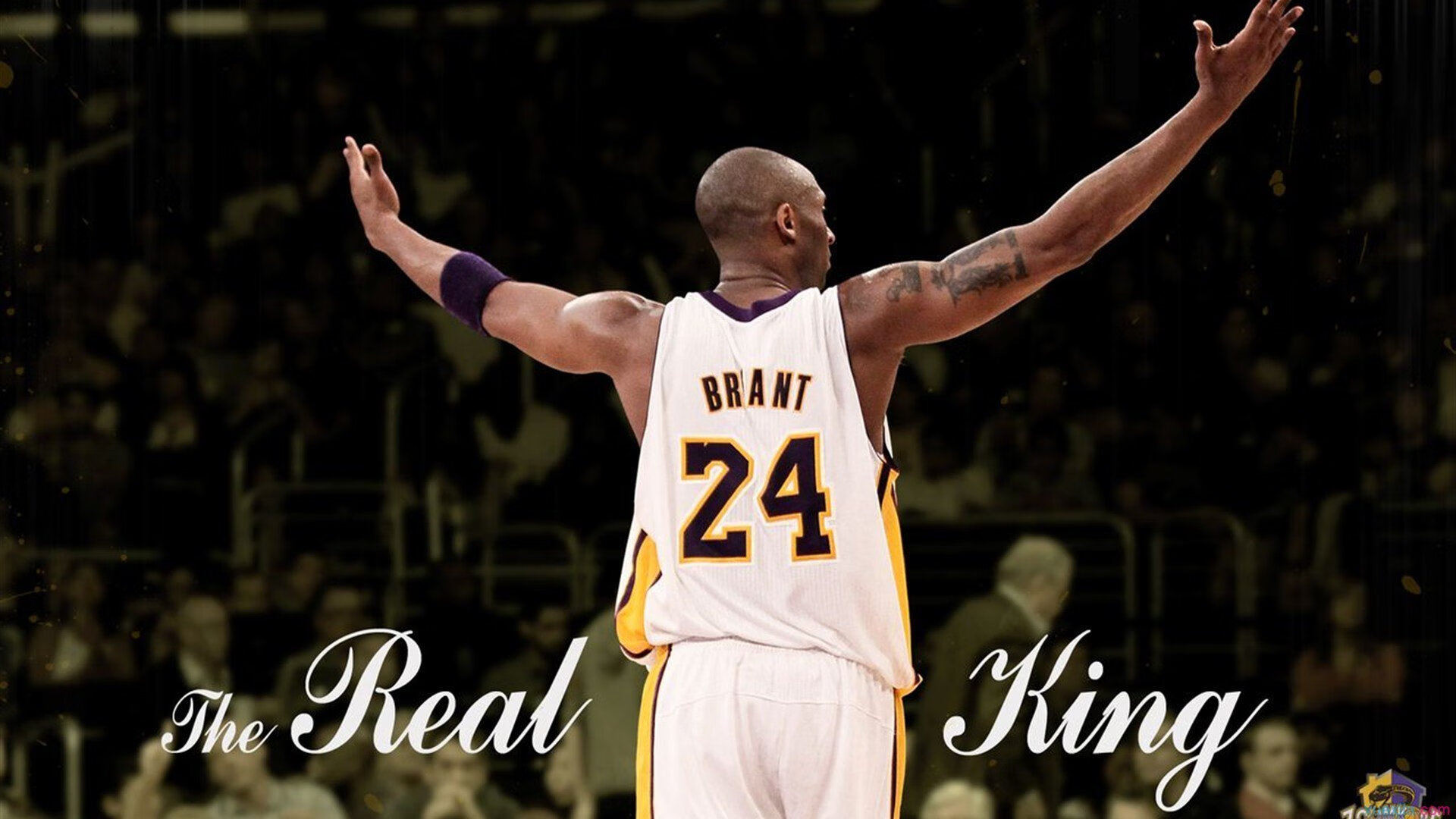 霍勒迪一手掌控比赛走势，当冷静成为最锋利的武器